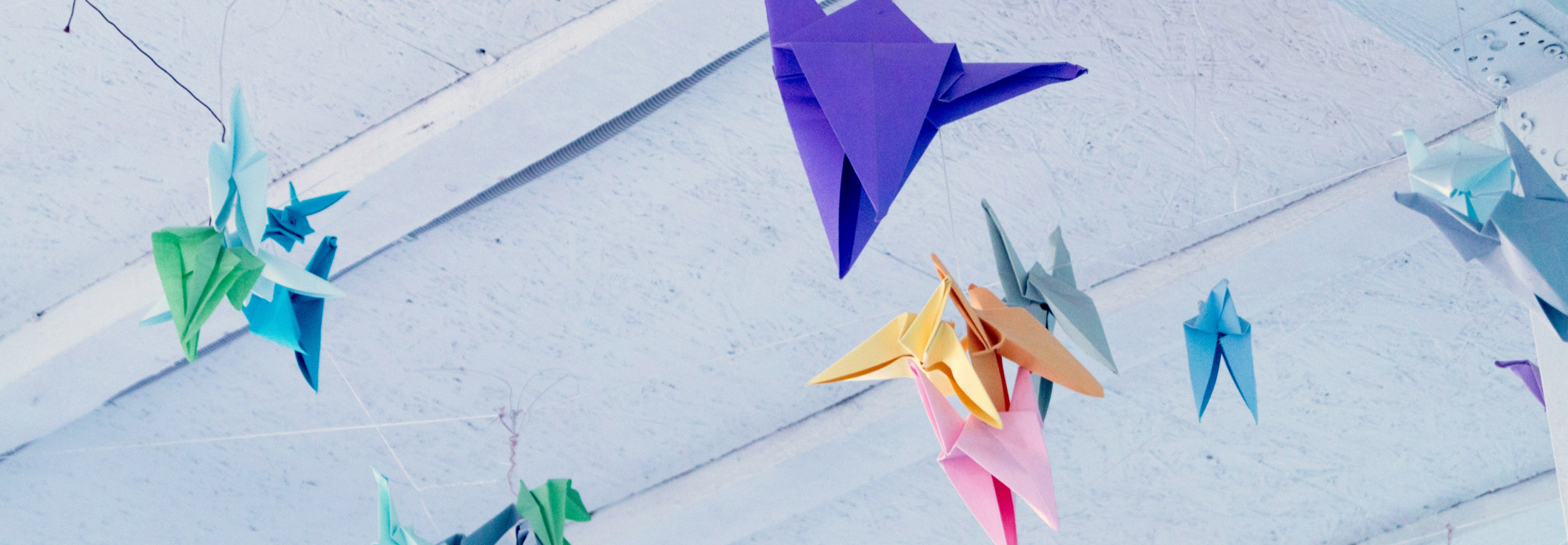Hanging origami cranes